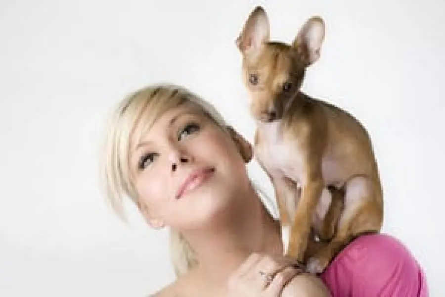 La responsabilità civile