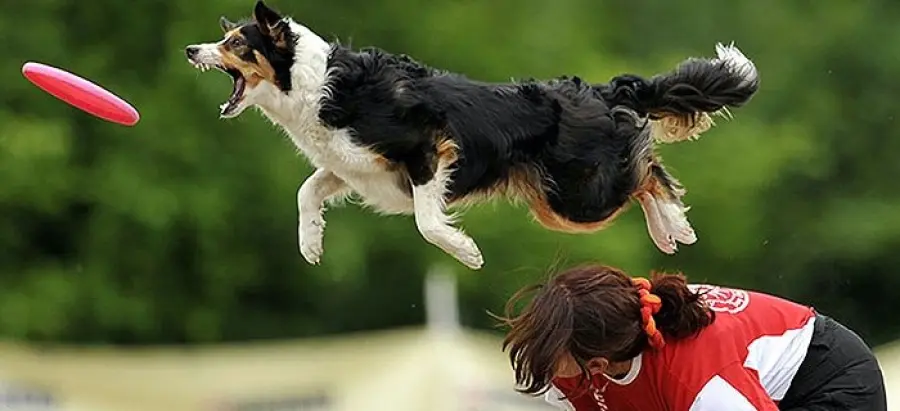 Il disco che ha conquistato l'estate