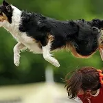 Il disco che ha conquistato l'estate