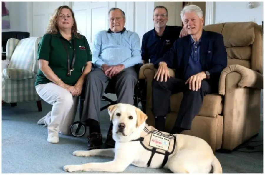 USA, George H.W. Bush presenta al mondo il suo nuovo labrador
