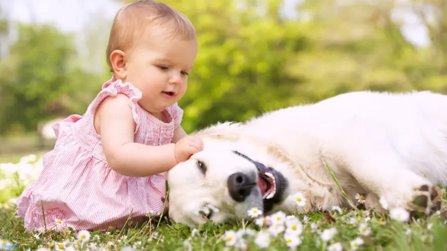 Cani e bambini: come farli crescere insieme