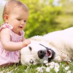 Cani e bambini: come farli crescere insieme