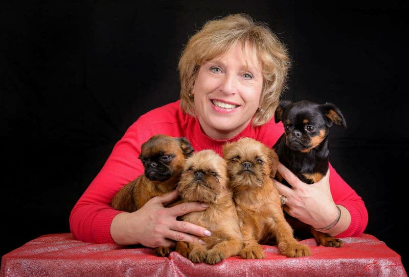 Griffone di Bruxelles: consigli per scegliere il cucciolo