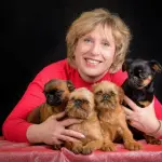 Griffone di Bruxelles: consigli per scegliere il cucciolo