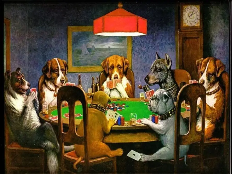 Gli animali e il poker: un binomio tutto da scoprire