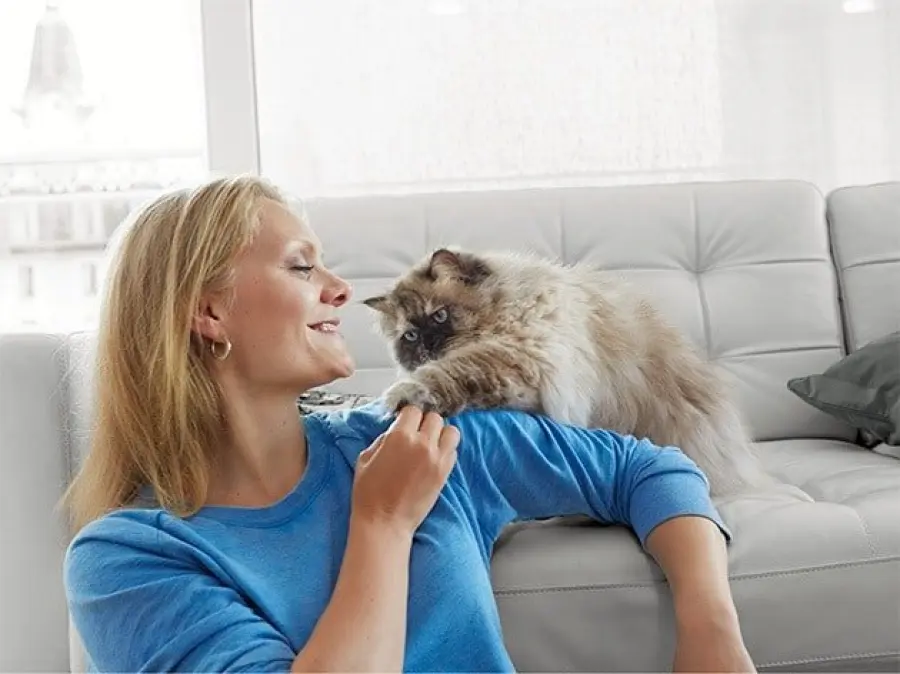 Le verità sul cibo industriale