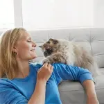 Le verità sul cibo industriale